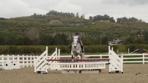 The El Sueño Equestrian Center is located on a sprawling acreage in Somis, CA.