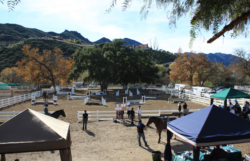 The main hunter ring at Pegasus Equestrian center is Oak-lined and framed by mountains.